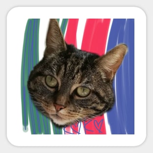 KokotheCat Sticker